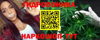 спайс Малгобек