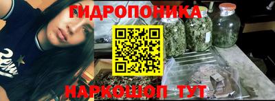 спайс Малгобек