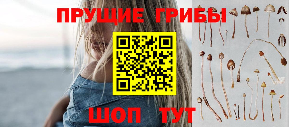 Галлюциногенные грибы прущие грибы  Вход с VPN  Всеволожск  Галлюциногенные грибы мицелий 